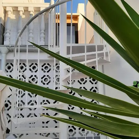 Bonito